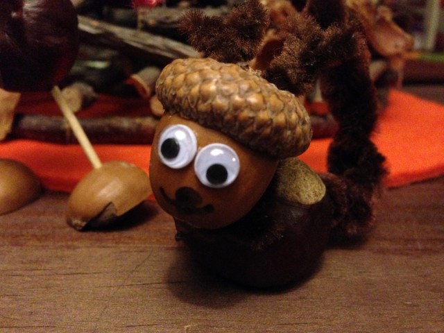 Acorn squirrel