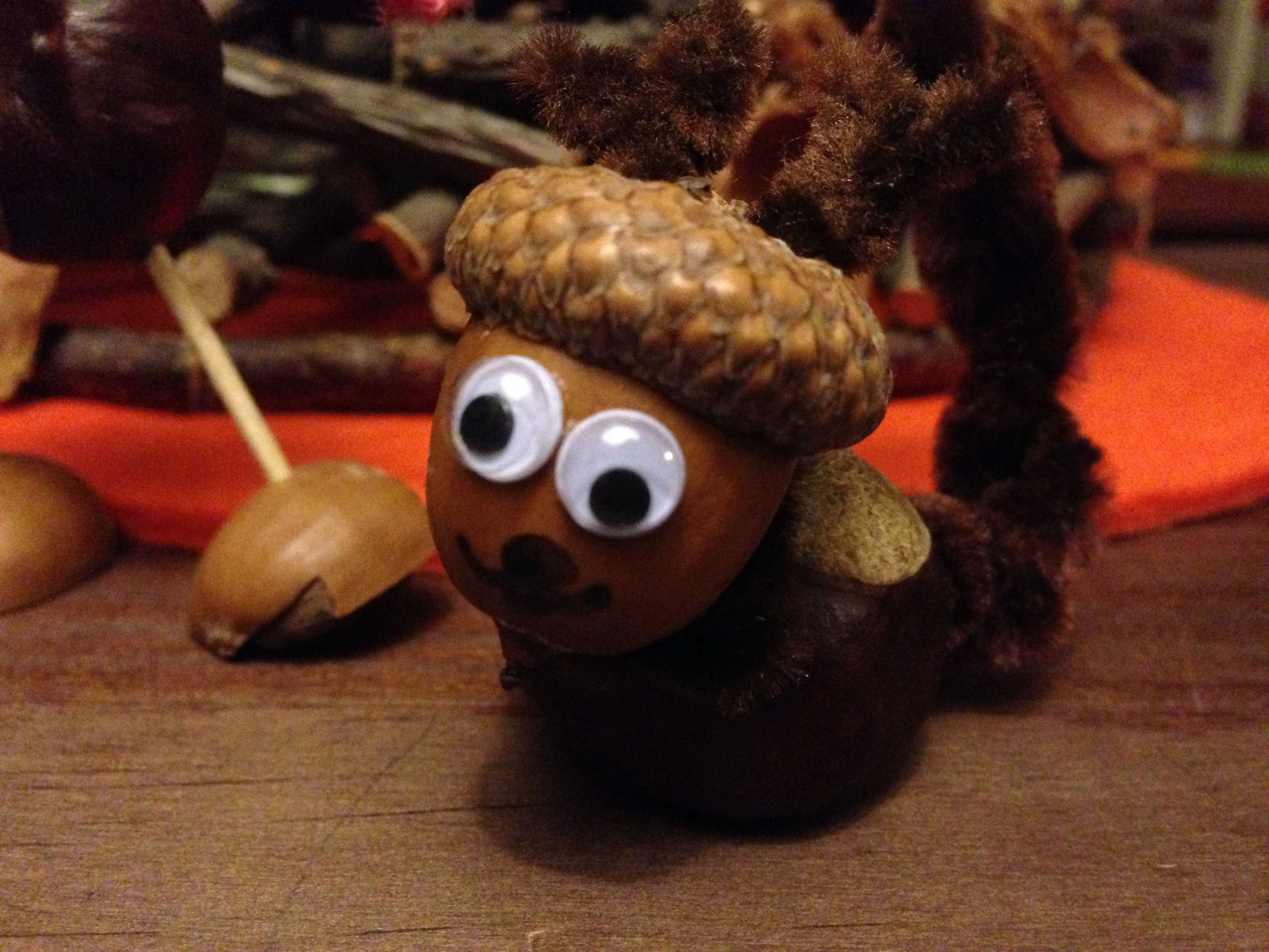 Acorn squirrel