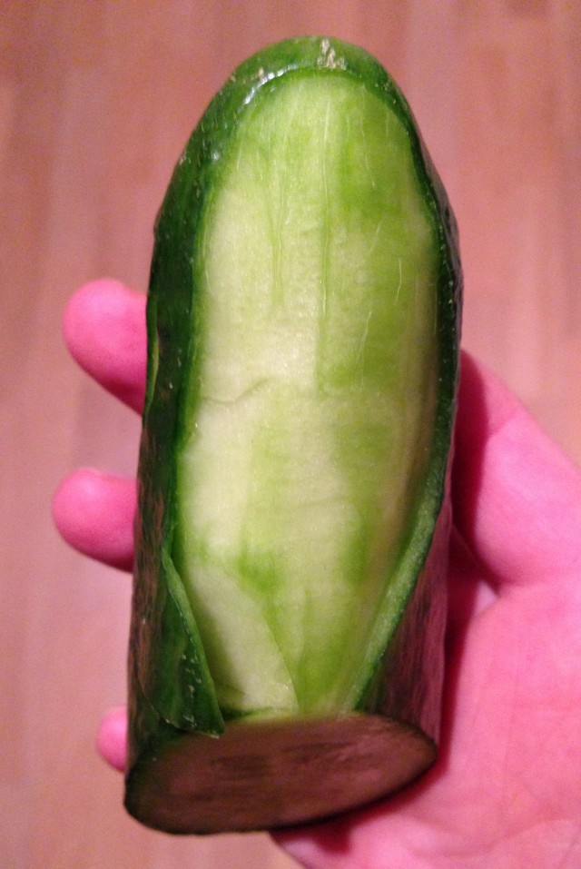 cucumber_whale_step1