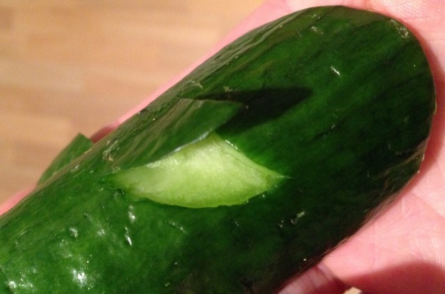 cucumber_whale_step2