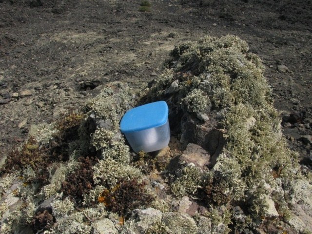 obvious Tupperware geocache