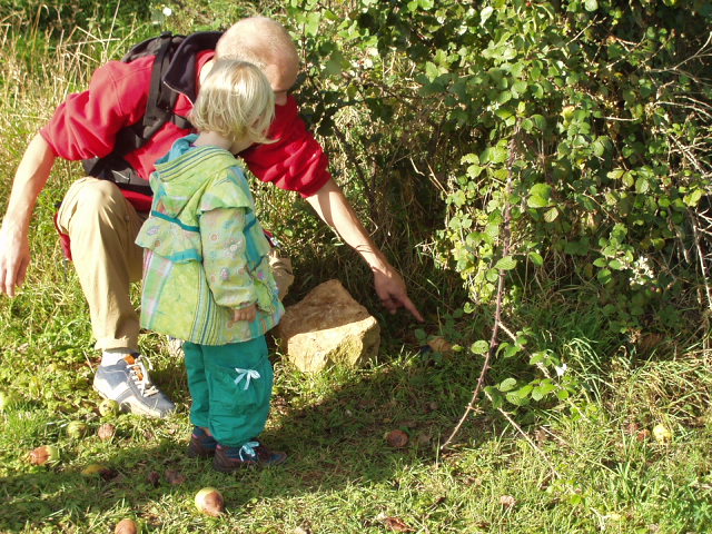 geocaching finding the cache