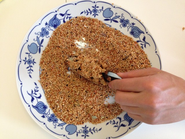 pine cone bird feeder 5