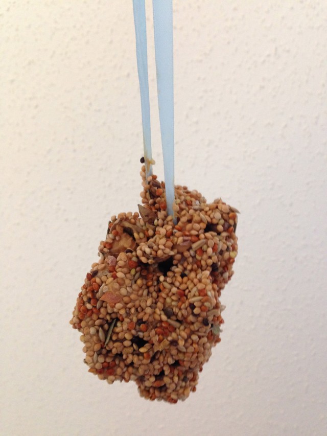 pine cone bird feeder 6