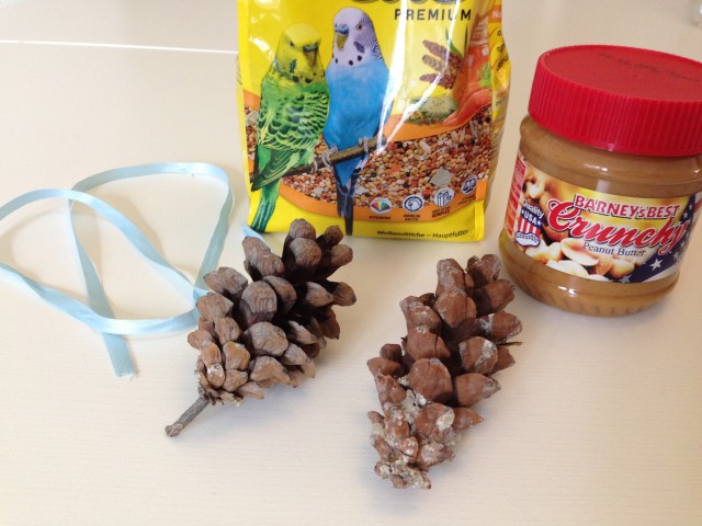 pinecone bird feeder