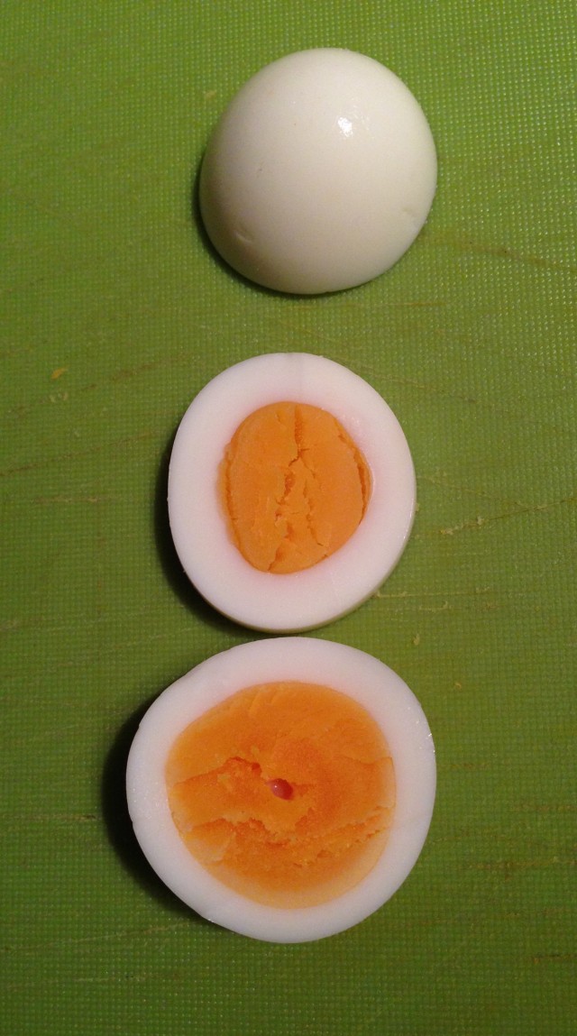 easter egg deco bunnies