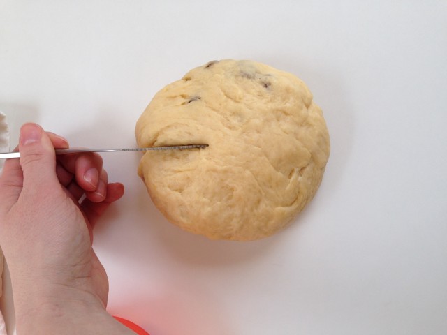 osterzopf bunny head ears