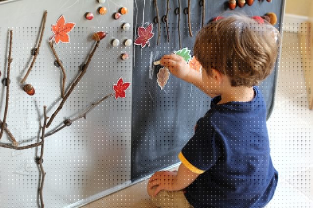 magnetic fall nature