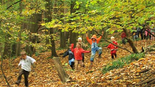 wald_kinder_spaß