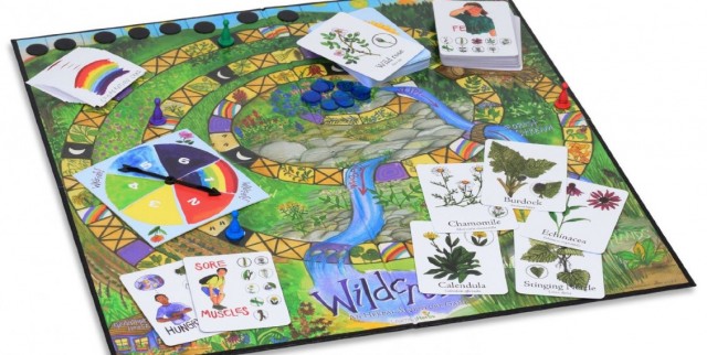 Medicinal-Plants-Board-Game-3