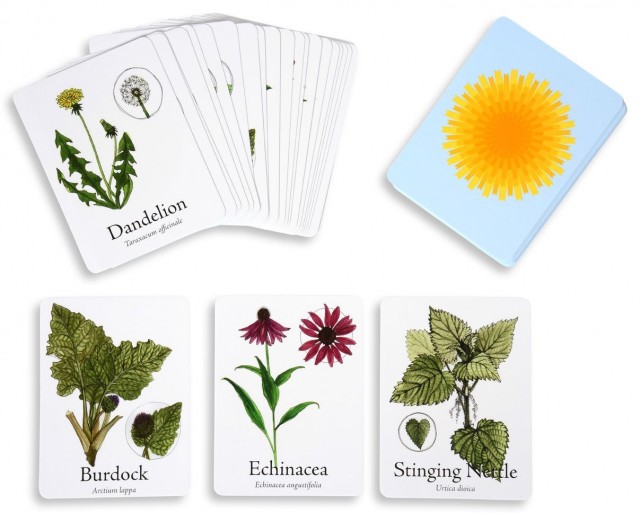 Medicinal-Plants-Board-Game-6