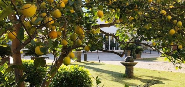 Limestone heritage Malta