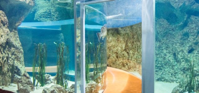 Malta National Aquarium