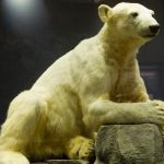 Museum of natural history