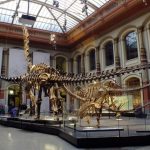 Museum of Natural History