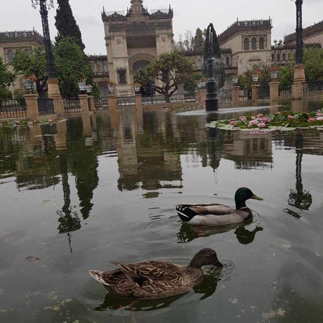 PHOTO-2019-05-28-13-53-58