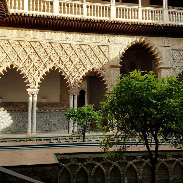 PHOTO-2019-05-28-14-09-22 4