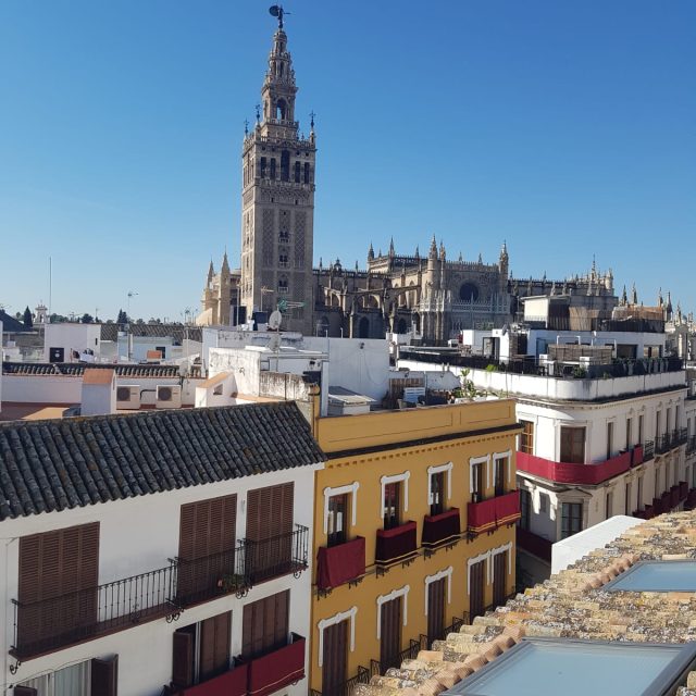 PHOTO-2019-05-28-14-12-49 2