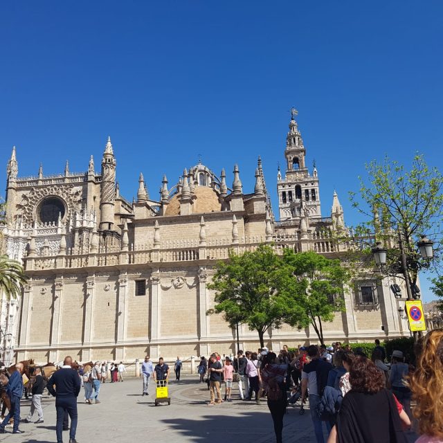 PHOTO-2019-05-28-14-12-50 2