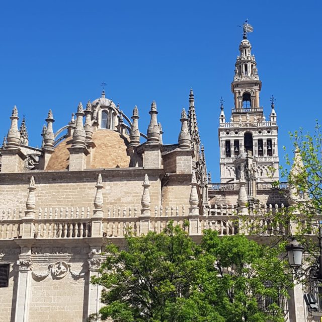 PHOTO-2019-05-28-14-12-50 3